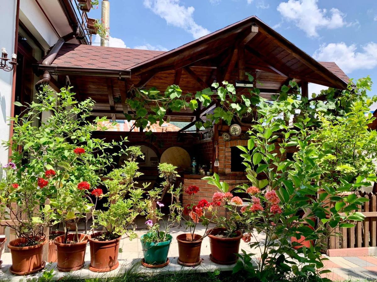 Casa Olanesti Hotel Baile Olanesti Ngoại thất bức ảnh